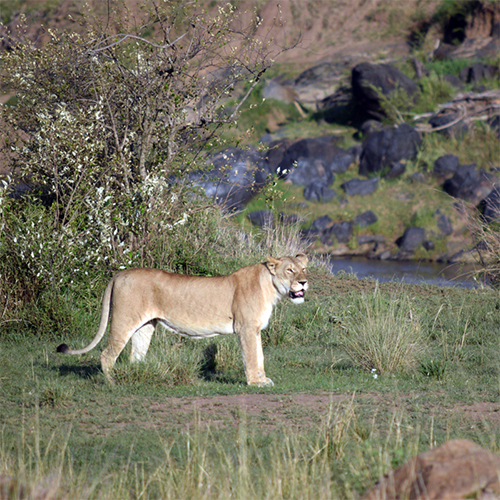 Kenya Africa